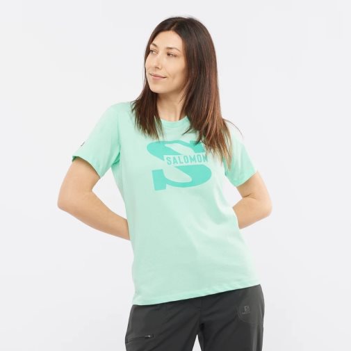 Mint Salomon Outlife Big Logo Short Sleeve Women's T-Shirts | PH 94278V